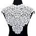 Smiry 2pcs Off-White Lace Trim Embroidered Lace Collar Neckline Venise Applique Sewing Clothing Accessories DIY Lace Applique