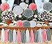 CHOTIKA 23 pcs Tissue Flowers Pom Poms Party Girl Paper Decorations First Birthday Girl Tissue Flowers Tassel Paper Baby Shower Decorations Supplies Kits Paper (Pink-White-Grey)