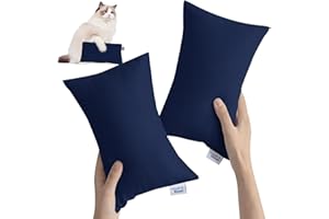 MAGIK & KOVER Small Pillow Baby Mini Pillow for Travel 2 Pack, 11" x 7" Tiny Pillow with Name Tag, Small Pillow for Kids Travel and Sleep, Great Small Rectangular Pillow for Neck, Lumbar, Back, Pet Dogs, Blue