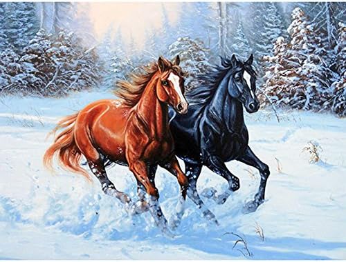 HKKY 5D DIY Diamond Painting Horse running in the snow full Round Paste drill Round diamonds embroidery Fashion home decor (30x40cm)