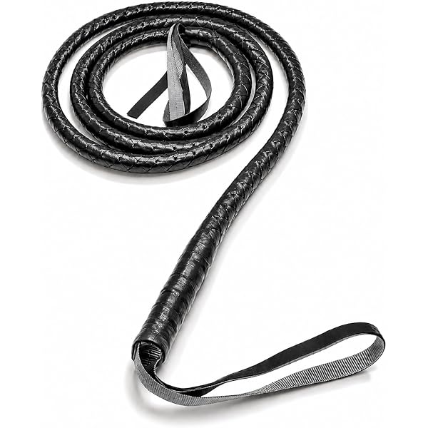 Amazon.com: Skeleteen Faux Leather Brown Whip - 6.5' Woven Costume