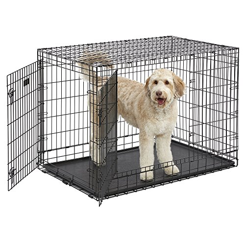 6 Best Dog Crates For Large & ExtraLarge Dogs [2019 Reviews]