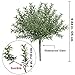 BESTTOYHOME 4 Pcs Artificial Rosemary Plants Fake Rosemary Greenery Leaves Bushes Evergreen Shrubs Spray in Green - 9.85