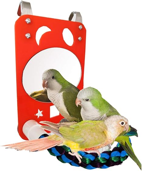 juguetes para periquitos amazon
