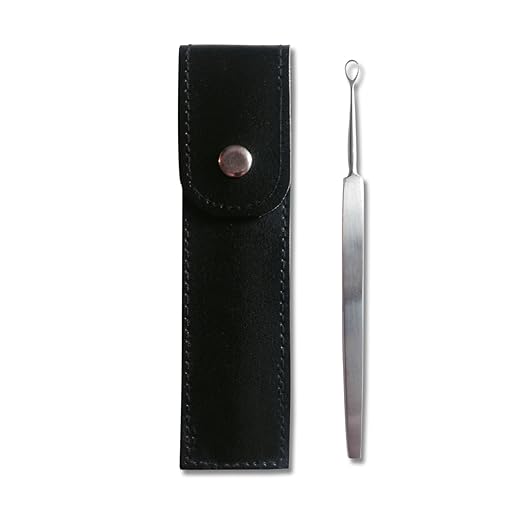 title=Pulisci orecchie medico con punta in acciaio inossidabile, con custodia