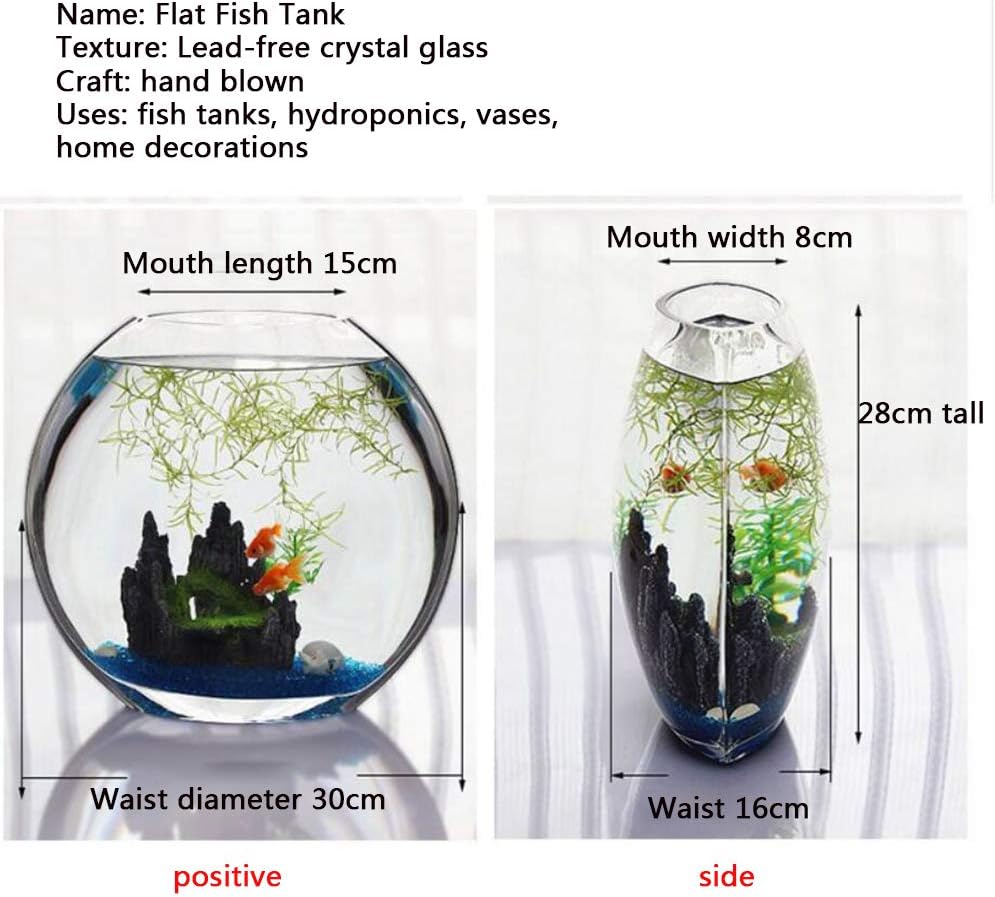 Amazon Co Jp 魚の水槽 小さな創造的な生態学的な金魚の水槽 水耕法 ベタの魚の水槽 魚の水槽の形状 丸い平らな口の直径30cm 11 8インチ B ホーム キッチン