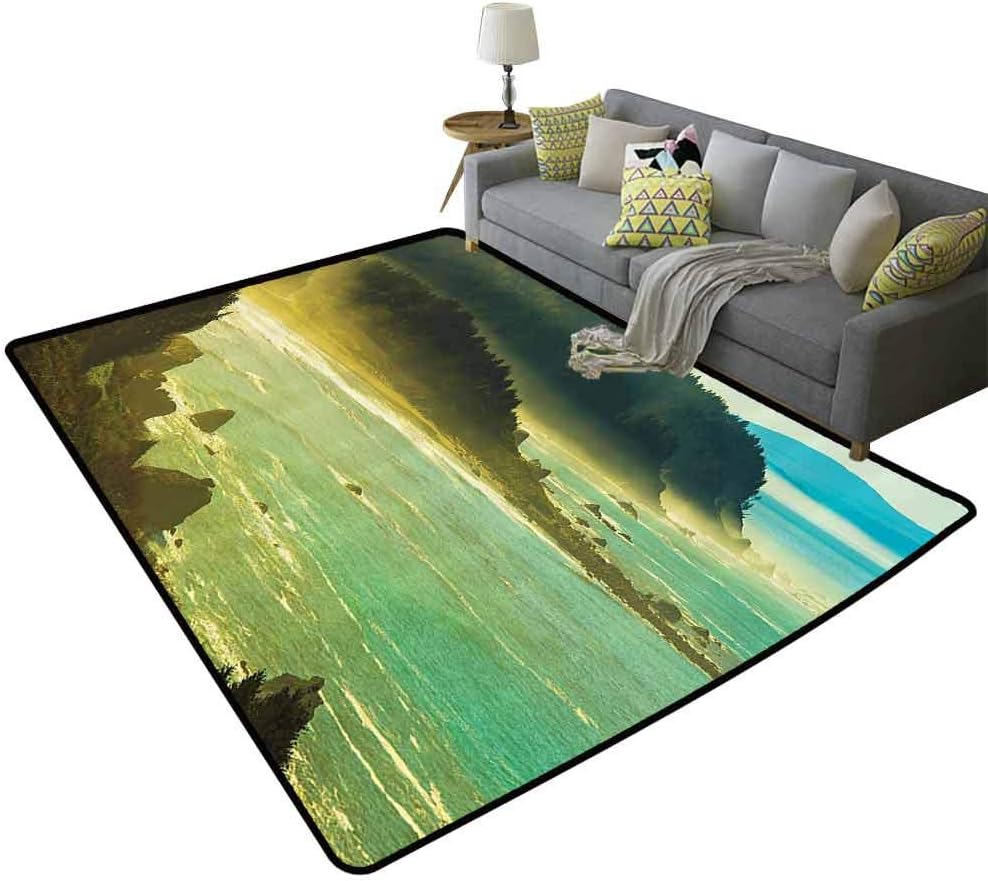 Americana Landscape Decor Kitchen Area Rugs Foggy Redwood Pacific Ocean in Mist Windy Day Crescent Shore Picture Daily use Green, 4'x 6'(120x180cm)