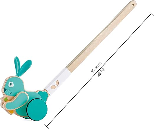 hape lilly musical push along