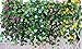 XHSP 2 Bunches Artificial Vines 35.4