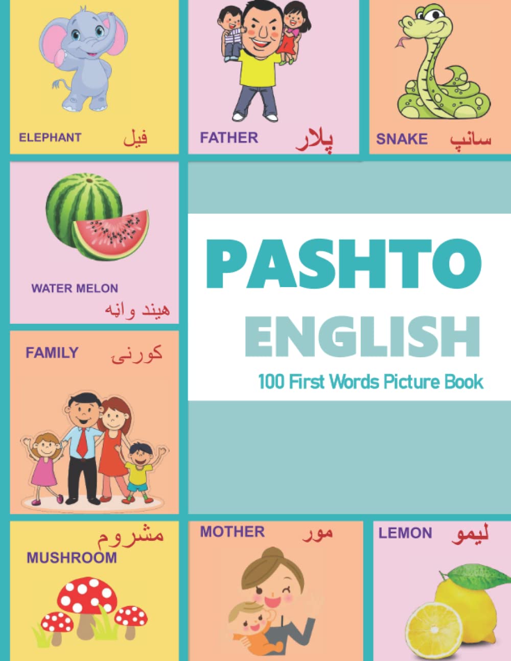 PASHTO ENGLISH 100 First Words Picture Book PASHTO to English