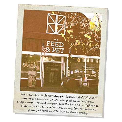 CANIDAE Grain Free PURE Elements Cat Dry Formula with Fresh Chicken, 10 lbs