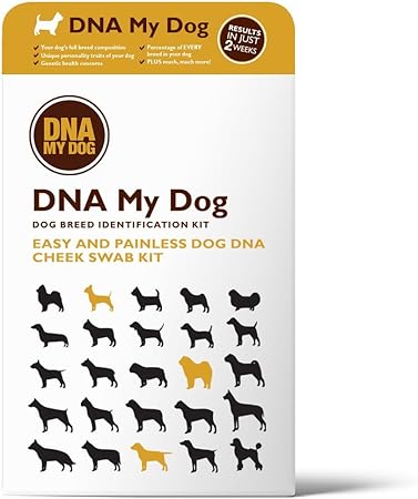 canine dna