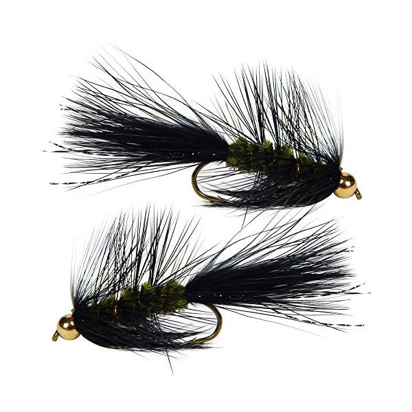 Woolly-Bugger-Trout-Fly-Fishing-Streamer-Assortment-6-Flies