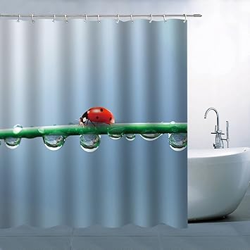 Amazon Com Bcnew Ladybug Shower Curtain Decor Ladybug Crawling On