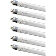 Accway (6 Pack) F8T5/WW 12’’ Linear Fluorescent Light Bulb, 8W Warm White T5 Tube, 3000K Soft White Lamp, G5 Mini Bi Pins Base Replacement for Under Cabinet Light, RV, Closet