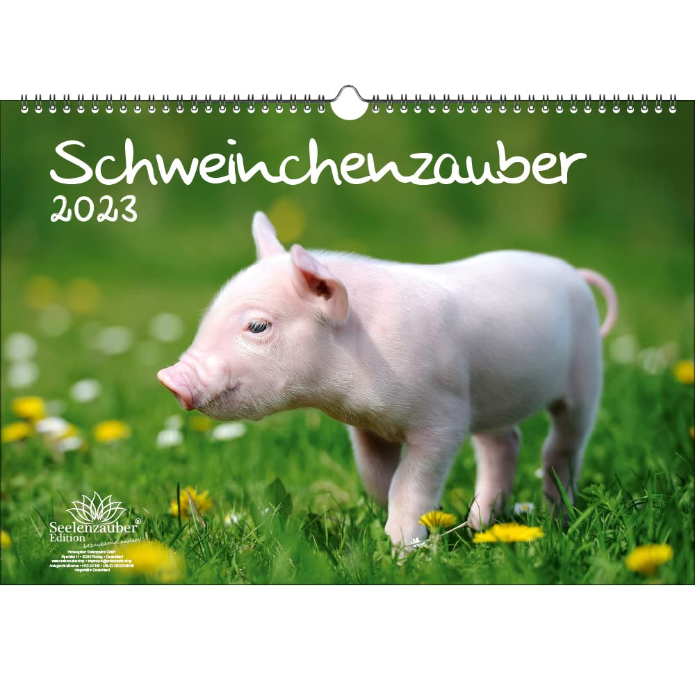 Pig Magic DIN A3 Calendar for 2023 Pigs - Soul Magic, Multi-Colour, KN2023-3W-0049-D-0
