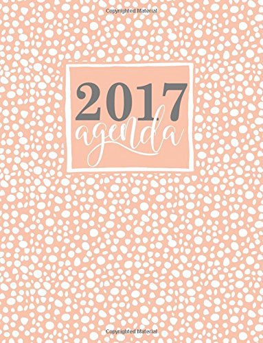 Agenda: Gray & Gold Agenda 2017 Semainier (Série de Relaxation et Antistress) by (Paperback)