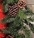 Fine Expectations Juniper Pine Garland, 9' by 14