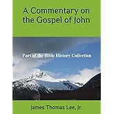 A Commentary on the Gospel of John