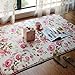 Short Velvet Romantic Pink Rose Carpet Area Rug for Teen Girls/Women/Ladies - MAXYOYO Floral Printed Soft Short Velvet Area Rug Non-Slip Carpet Pad, 39 by 59 Inch