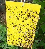 Highly Effective Sticky Trap Paper for Aphid, Whitefly, House Fly, Pantry Moths,Other Flying Insects 10x4 Inches, 10Pcs