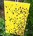 Highly Effective Sticky Trap Paper for Aphid, Whitefly, House Fly, Pantry Moths,Other Flying Insects 10x6 Inches, 10Pcs