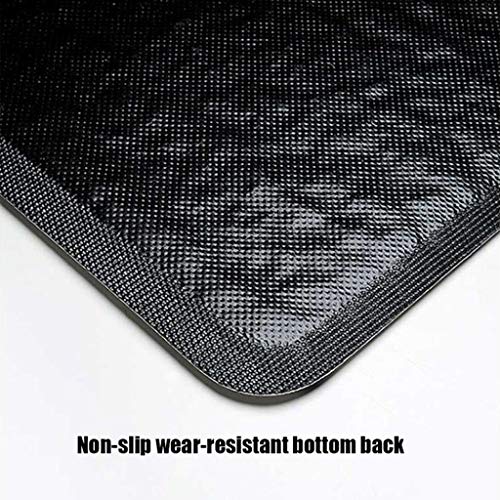 Carpet Door Mats Home Floor Mat NonSlip Waterproof Catching Dirt Flex