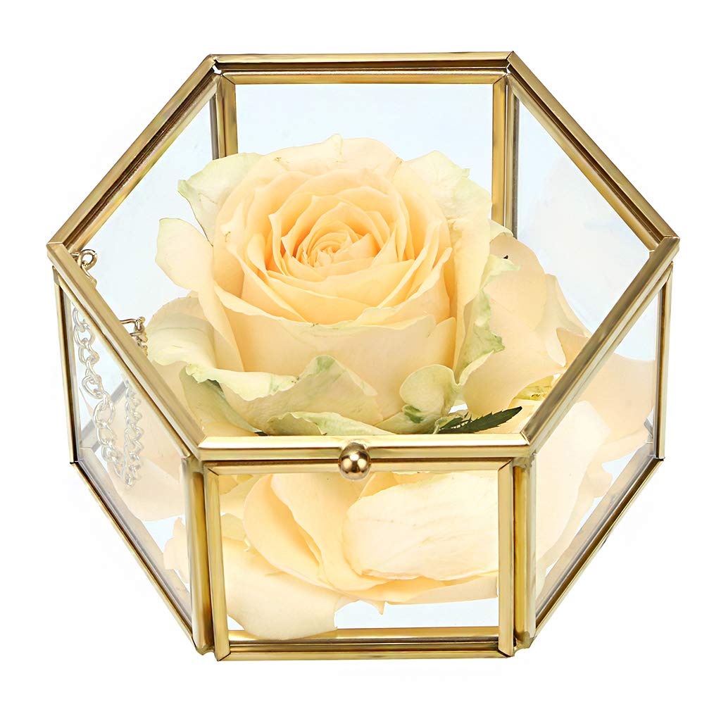 Hipiwe Preserved Flower Glass Box, Hexagon Glass Jewelry Decorative Bin, Ornate Trinket Display Organizer Case Keepsake Box Gift for Women