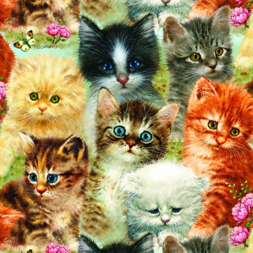 A Pile of Kittens a 1000-Piece Jigsaw Puzzle by Sunsout Inc.