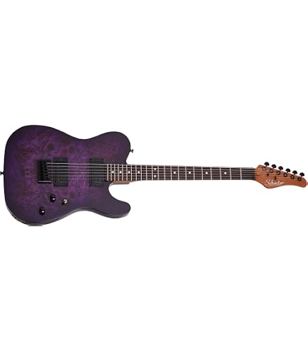 Amazon.com: Schecter PT Standard Electric Guitar - Black Fade