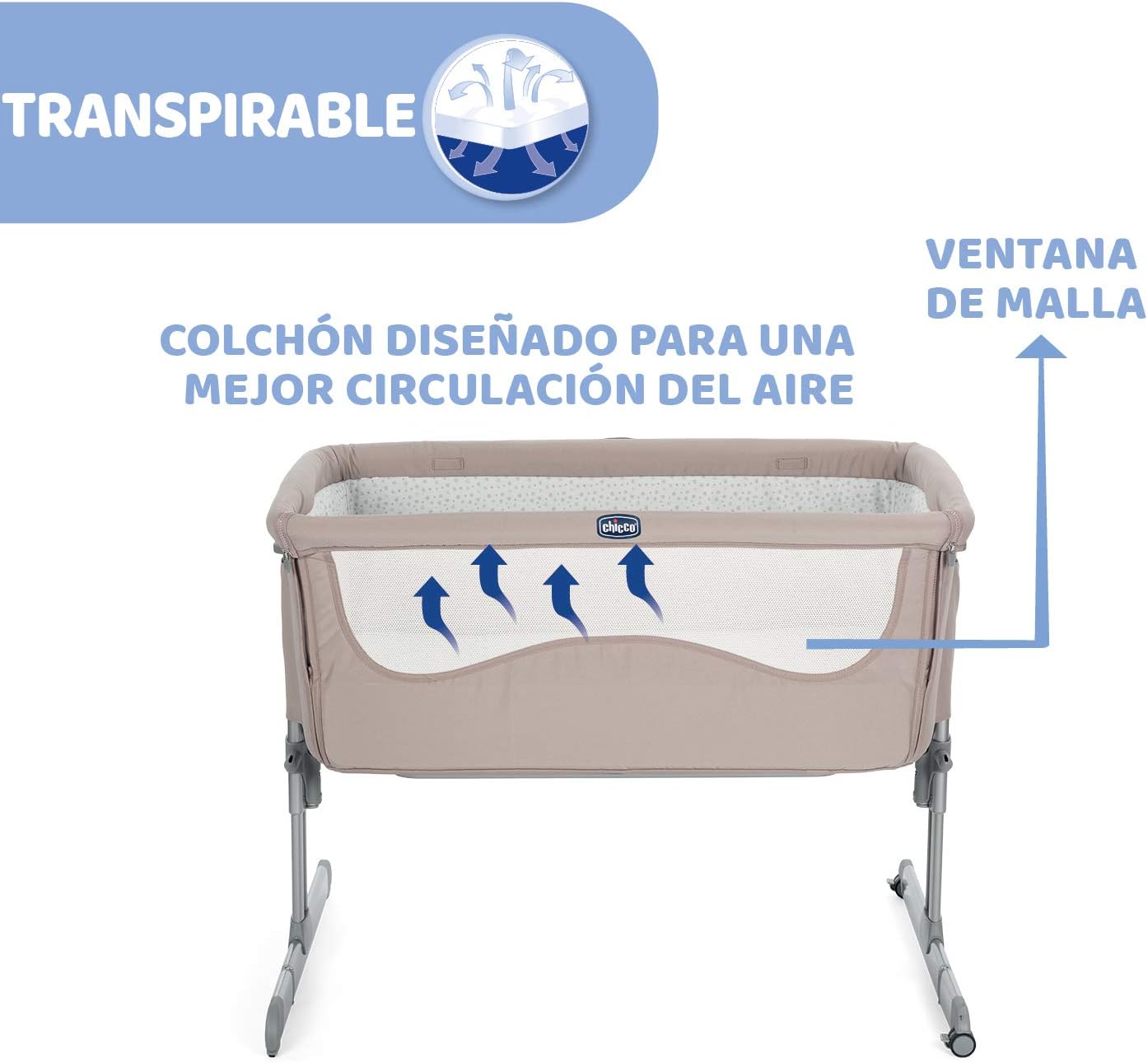 chick to chick chicco