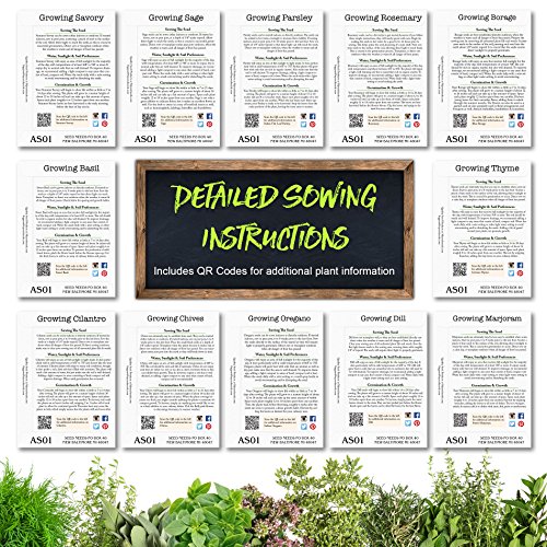 Seed Needs, Culinary Herb Seed Packet Collection (12 Individual Varieties of Herb Seeds for