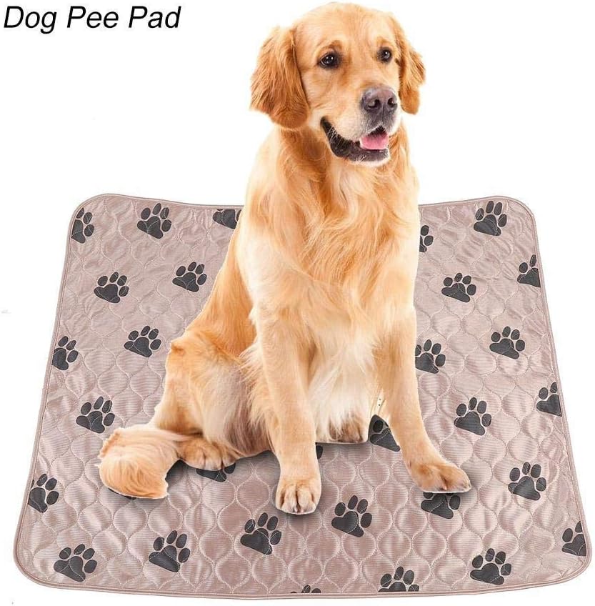 dog incontinence pads