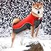 Didog Reflective Dog Winter Coat Sport Vest Jackets Snowsuit Apparel - 8 for Small Medium Large Dogs,Red,4XL Size