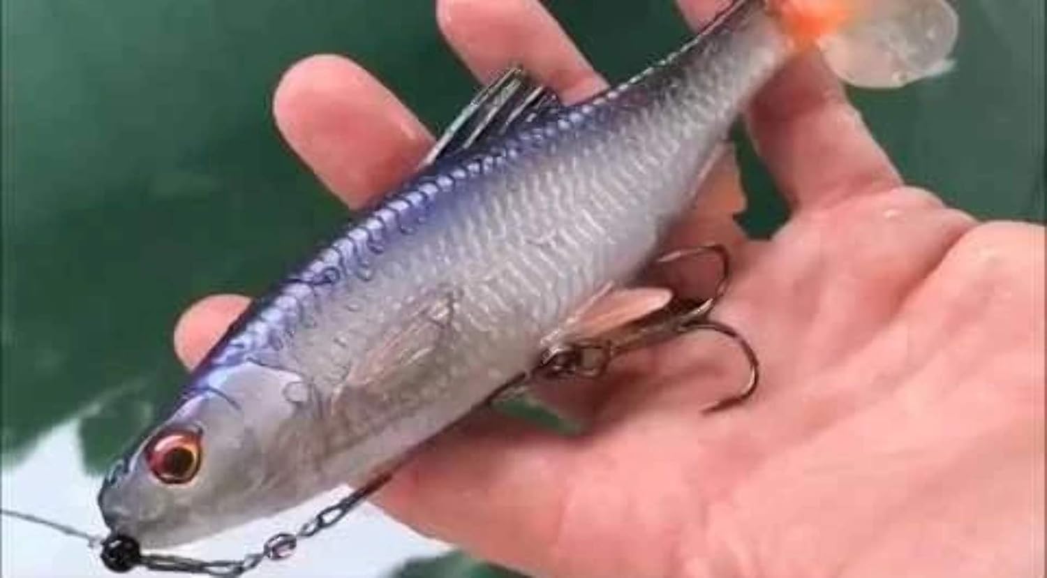 Savage Gear, 3D river roach, 2 rubber fish roach for spin fishing soft bait for pike fishing pike lure, rubber shark - Image 4