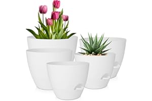 QRRICA Plant Pots 10/9/8/7.5/7 Inch Self Watering Pots, Set of 5 Plastic Planters with Drainage Holes and Saucers,Plastic Flower Pots,Nursery Planting Pot for Indoor Out Door Plants(Pure White)