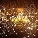 Homeleo 5M 50LEDS Battery Operated Remote Contol LED String Lights Flexible Copper Wire Light LED Starry Lights Fairy Lights AA Battery Powered Tiny Decorative Lights(50 LEDs, Warm White, Waterproof)