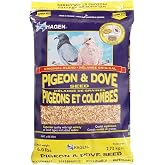 Hagen Pigeon &amp; Dove Seed, Original Formula Bird Food, 6 lb Bag | Nutritionally Complete Seed Mix with Vitamins &amp; Minerals, Wild &amp; Captive Bird Diet, Insect-Resistant Air-Tight Packaging