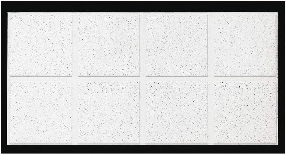 Which Is The Best 24 X 48 Building