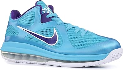 lebron 9 hornets low