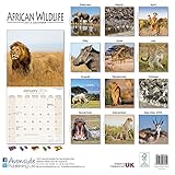 Image de African Wildlife Calendar - 2016 Wall calendars - Animal Calendar - Monthly Wall Calendar by Avonside