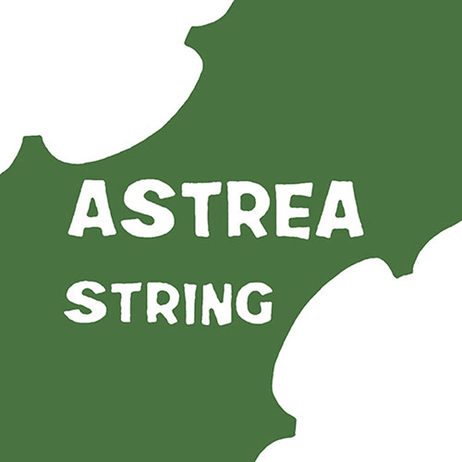 Astrea 141110 VIOLIN 3/4-4/4 SET