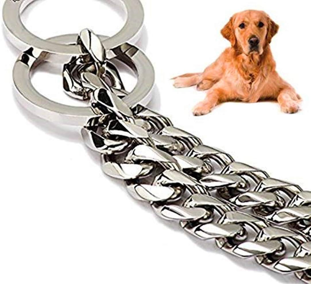 strong leash for pitbull