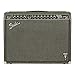 Fender George Benson Signature Series Twin Reverb Amplifier