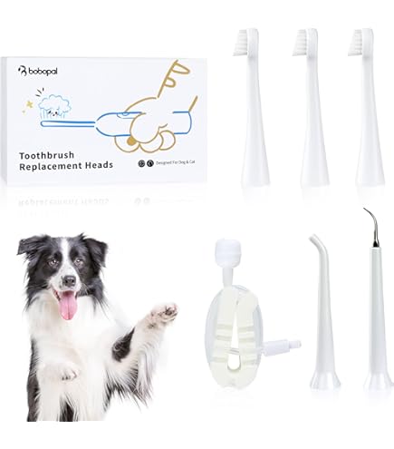 best plaque remover for dogs