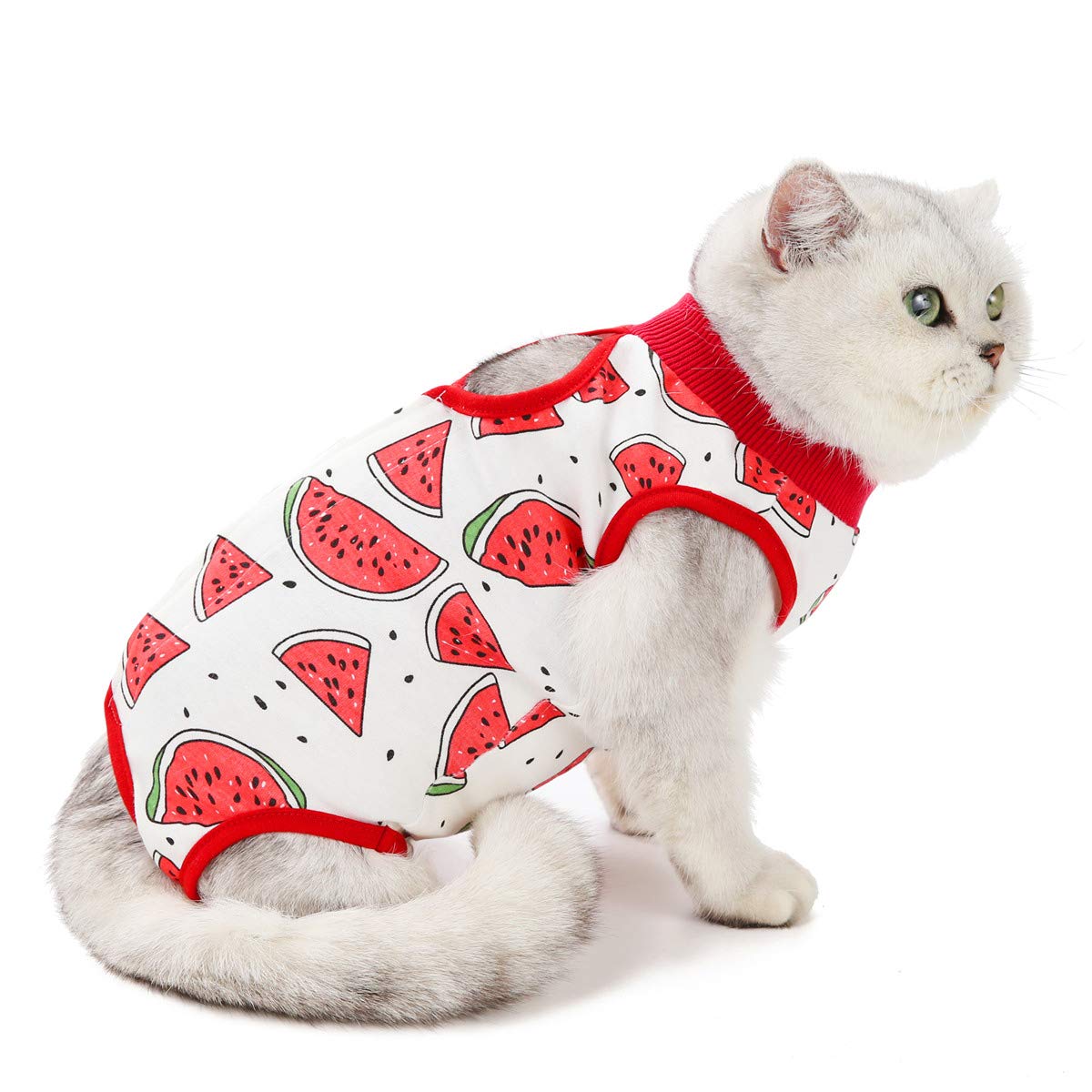 Professional Surgery Recovery Suit for Cats Paste Cotton Breathable Surgery Suits for Abdominal Wounds and Skin Diseases for Cats Dogs, After Surgery Wear Suit (M (6-8 lbs), Watermelon)