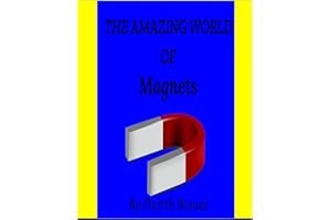 The Amazing World Of Magnets