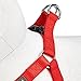 Blueberry Pet Essentials Step-in Dog Harness, Small Size | Adjustable Rouge Red Vest | Classic Solid Nylon for Boy & Girl Dogs, Chest Girth 16.5