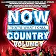 NOW That's What I Call Country Vol. 7