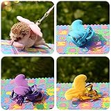 Hedgehog Harness Wing Traction Rope Nylon String Adjustable Training Playing Small Animal Outdoor Play Random Color